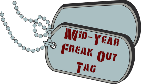 Mid-Year Freak Out Book Tag