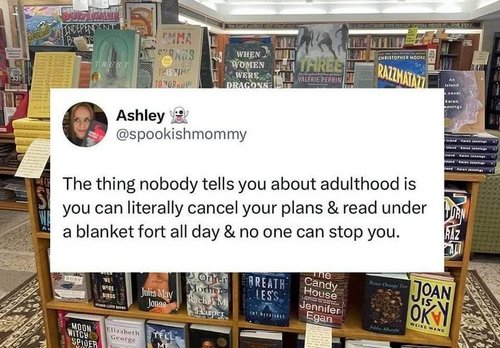 The thing nobody tells you about adulthood is you can literally cancel your plans & read under a blanket fort all day & no one can stop you. - @spookishmommy
