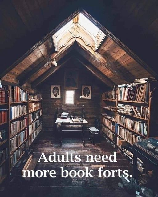 Meme showing a room covered in bookshelves with the caption Adults Need More Book Forts