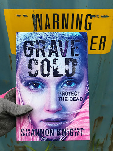 A Photo of the Grave Cold cover