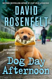 Cover for Dog Day Afternoon by David Rosenfelt