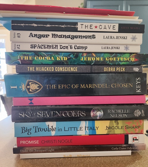 NPL Indie Fair Book Haul
