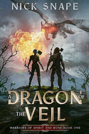 Cover for A Dragon of the Veil by Nick Snape