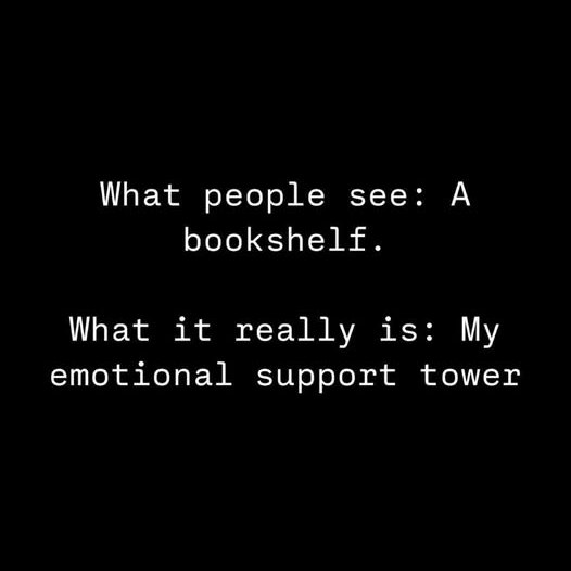 What people see: A bookshelf. What it really is: My emotional support tower