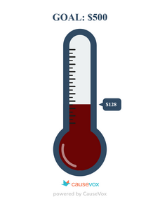 Fundraiser Thermometer showing $128 of $500 raised