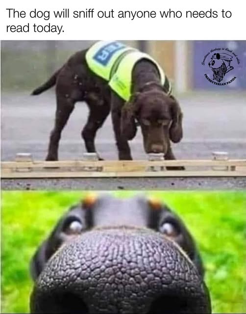 Picture of a Dog Sniffing, then a close up of that dog's nose under the words 'This dog will sniff out anyone who needs to read today'