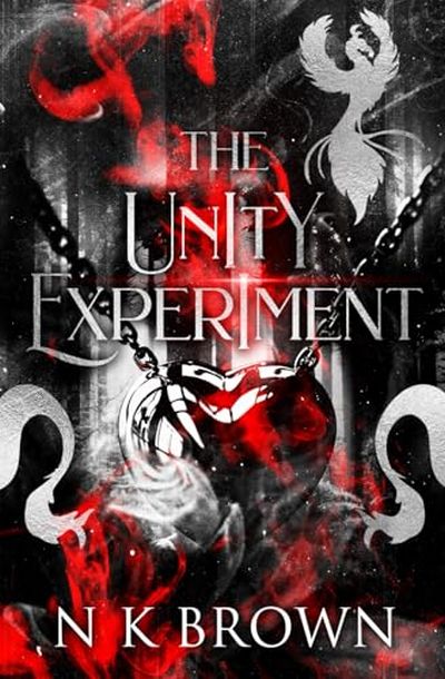 Cover of The Unity Experiment by N K Brown