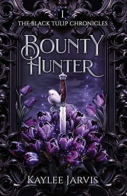 Cover of Bounty Hunter by Kaylee Jarvis