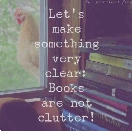 Superimposed on a photo of a stack of books next to a window, 'Let's make something very clear: Books are not Clutter!'