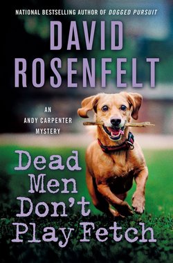 Cover of Dead Men Don't Play Fetch by David Rosenfelt