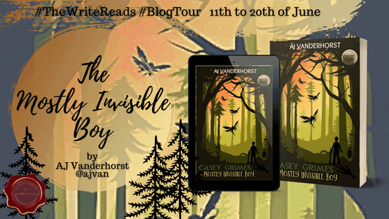 The Mostly Invisible Boy Tour Banner