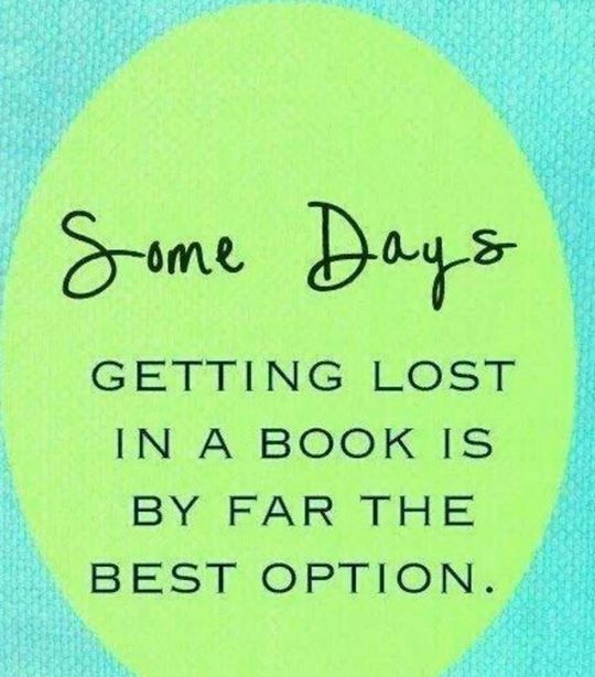 Some Days Getting Lost in a Book is the Best Option